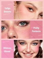 پالت رژگونه 6 رنگ شیگلم SHEGLAM مدل Floral Flush رنگ Blushing Bouquet - Image 3