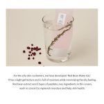 مرطوب کننده واتر ژل بیوتی آف جوسان Beauty Of Joseon Water Gel - Image 6