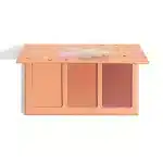 پالت رژگونه شیگلم PRIVATE CABANA