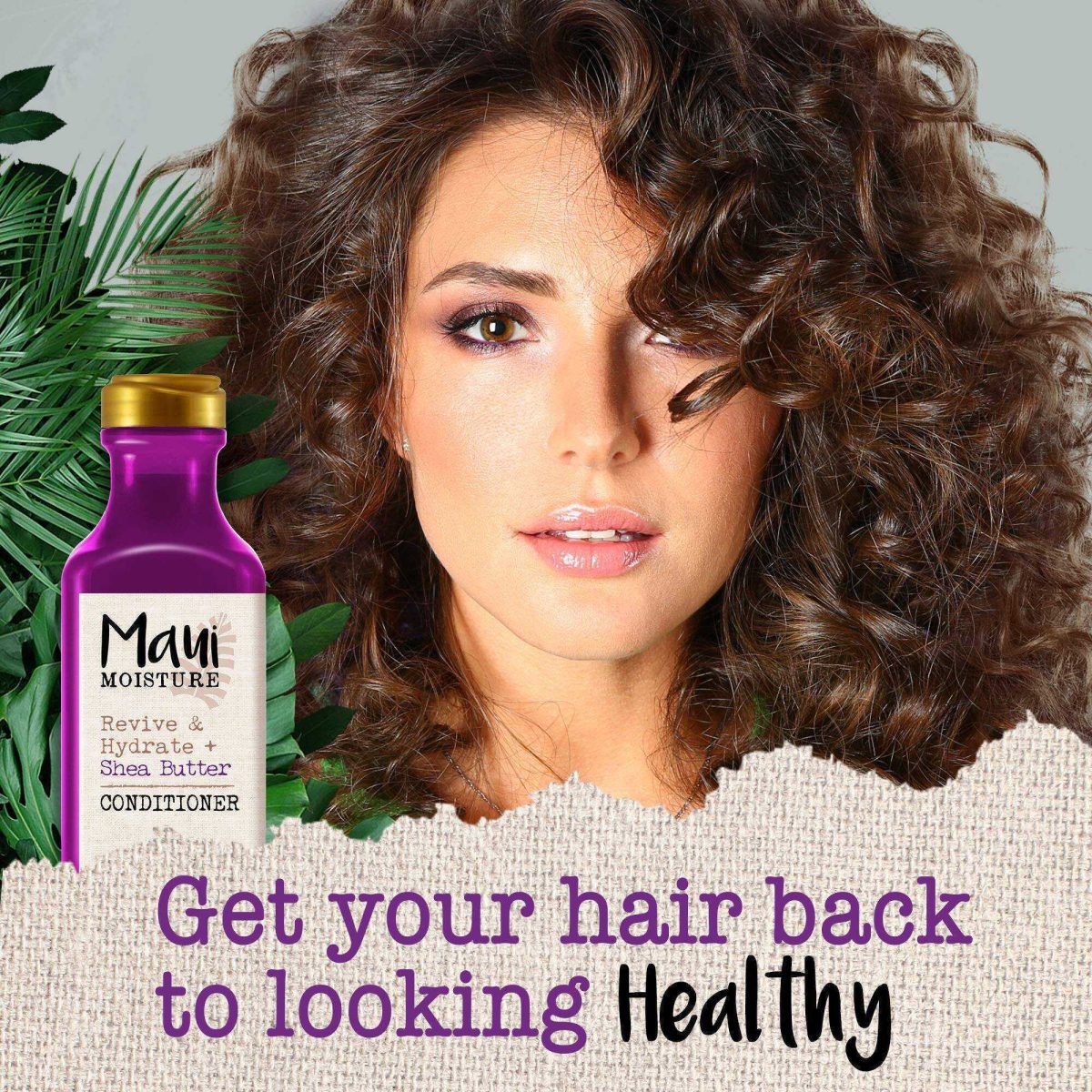 شامپو مائویی حاوی شی باترMaui Shea Butter Shampoo - Image 4