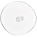 سرم آسکوربیک اسید (ویتامین سی) + آلفا آربوتین اوردینری - Image 2