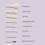 ست براش ۸ عددی شیگلم مدل pro core brush kit - Image 2