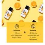 پودر ترکیبی چند منظوره تیام روشن کننده 10 گرم TIAM Vitamin Blending Powder - Image 5