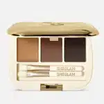 پالت سایه ابرو شیگلم کد 101 رنگ Dark Brown