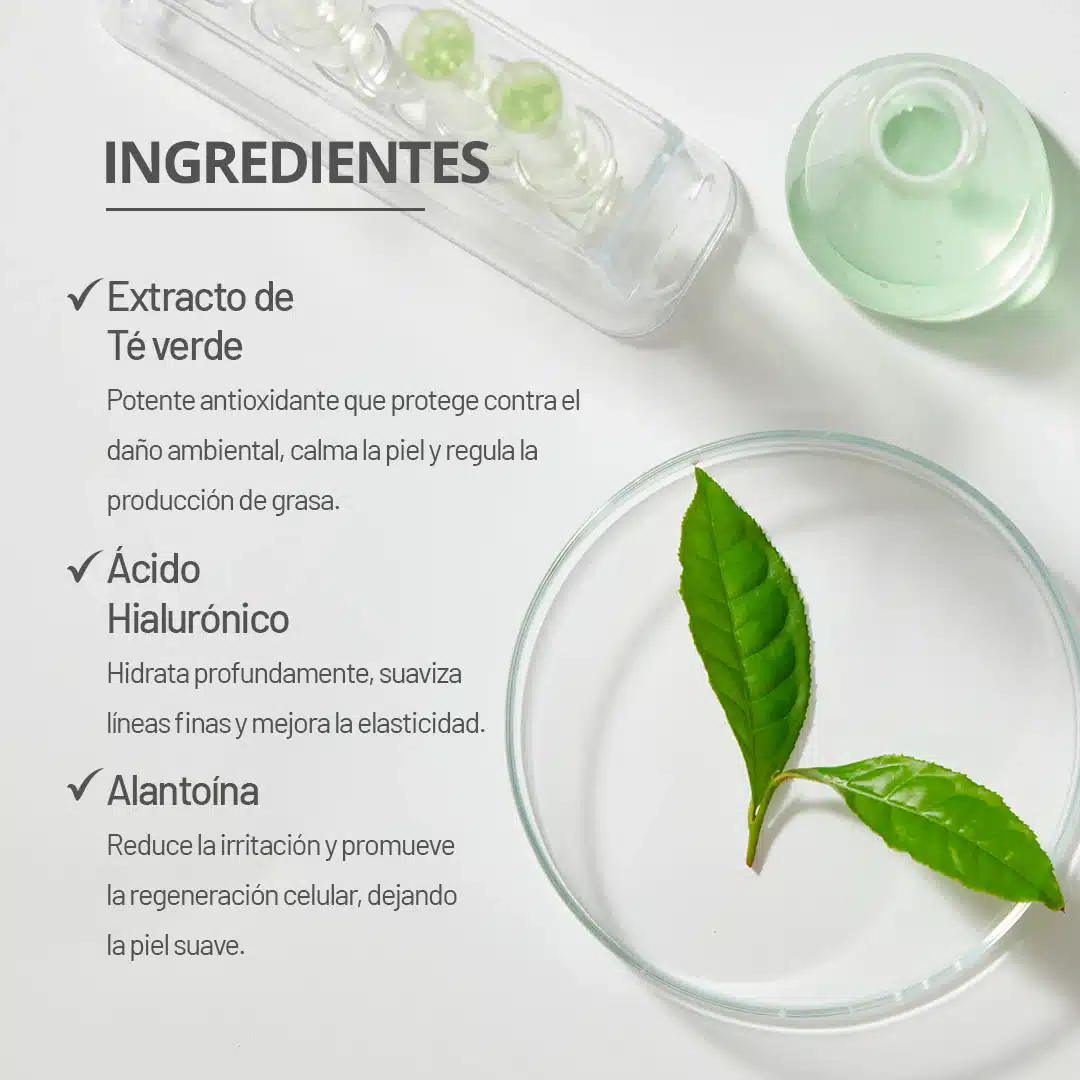 003-mascarilla-te-verde-ingresientes-clave2 ماسک تسکین دهنده چای سبز دیاپیا10 عددی Green Tea Soothing Mask - Image 3