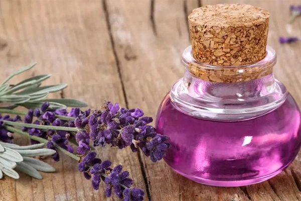 روغن اسطوخودوس: آرامش‌بخش و تقویت‌کننده