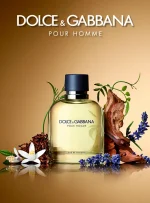 عطر ادکلن مردانه دی اند جی دولچه گابانا پورهوم 125 میل | Dolce Gabbana Pour Homme - Image 3