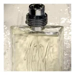 عطر ادکلن مردانه چروتی 1881 حجم 100 میل| Cerruti 1881 Men - Image 2