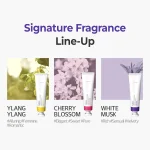 ست کرم مرطوب کننده دست کوندال حجم 50 میل KUNDAL Signature Perfumed Hand Cream Trio - Image 3